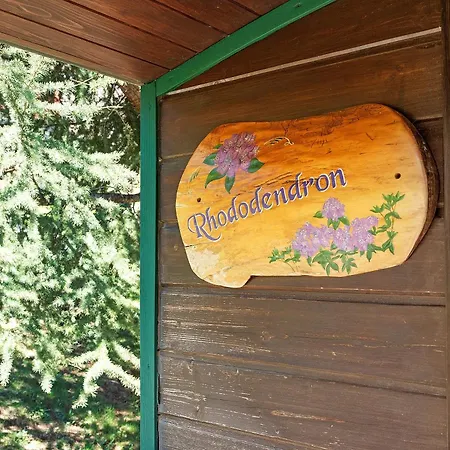Rhododendron- Gavarnie Gèdre