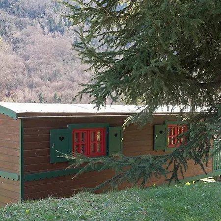 Rhododendron- Gavarnie * Gèdre